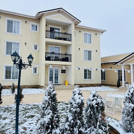 Pensiunea Queen Remetea Mare Bagian luar foto